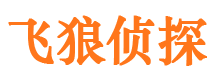 汝城市出轨取证